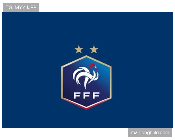 通讯：法国足协启动“2030战术发展计划”，强调基层多样性